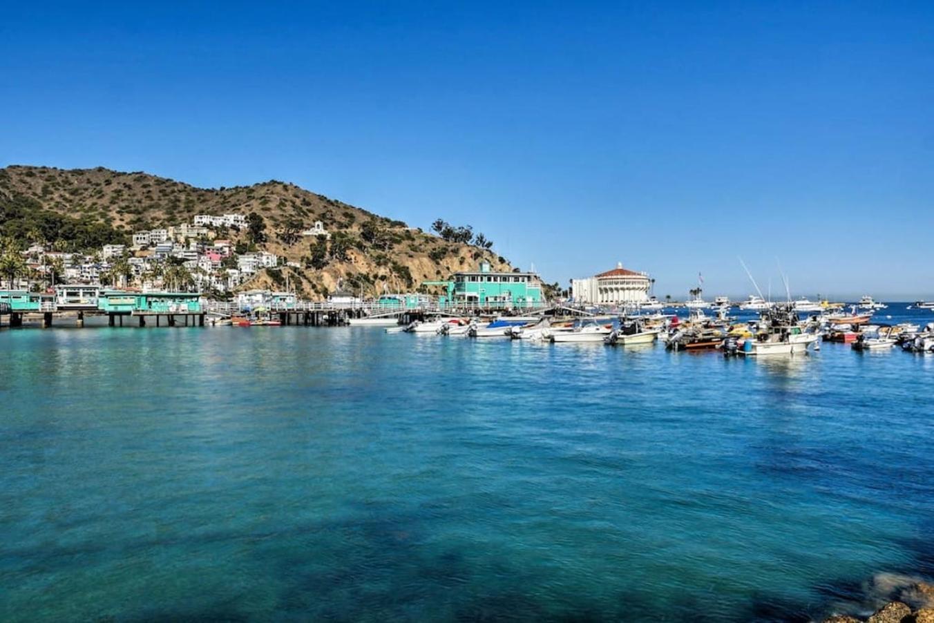 Lux Oceanfront Villa With Breathtaking Views Avalon Exterior photo